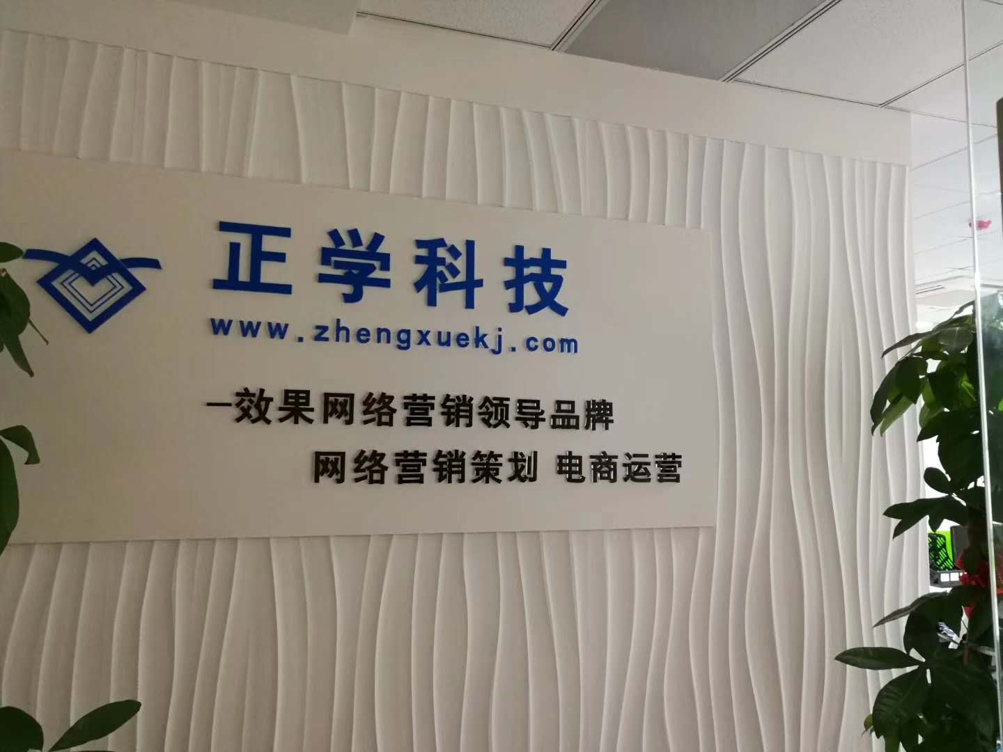 苏州效果网络营销——选择正学科技